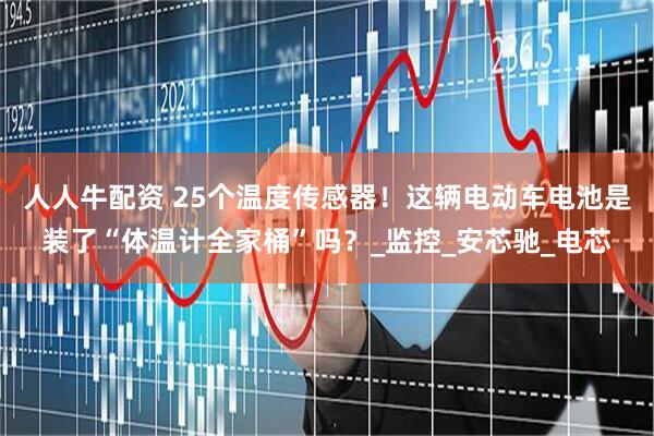 人人牛配资 25个温度传感器！这辆电动车电池是装了“体温计全家桶”吗？_监控_安芯驰_电芯