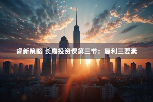 睿新策略 长赢投资课第三节：复利三要素